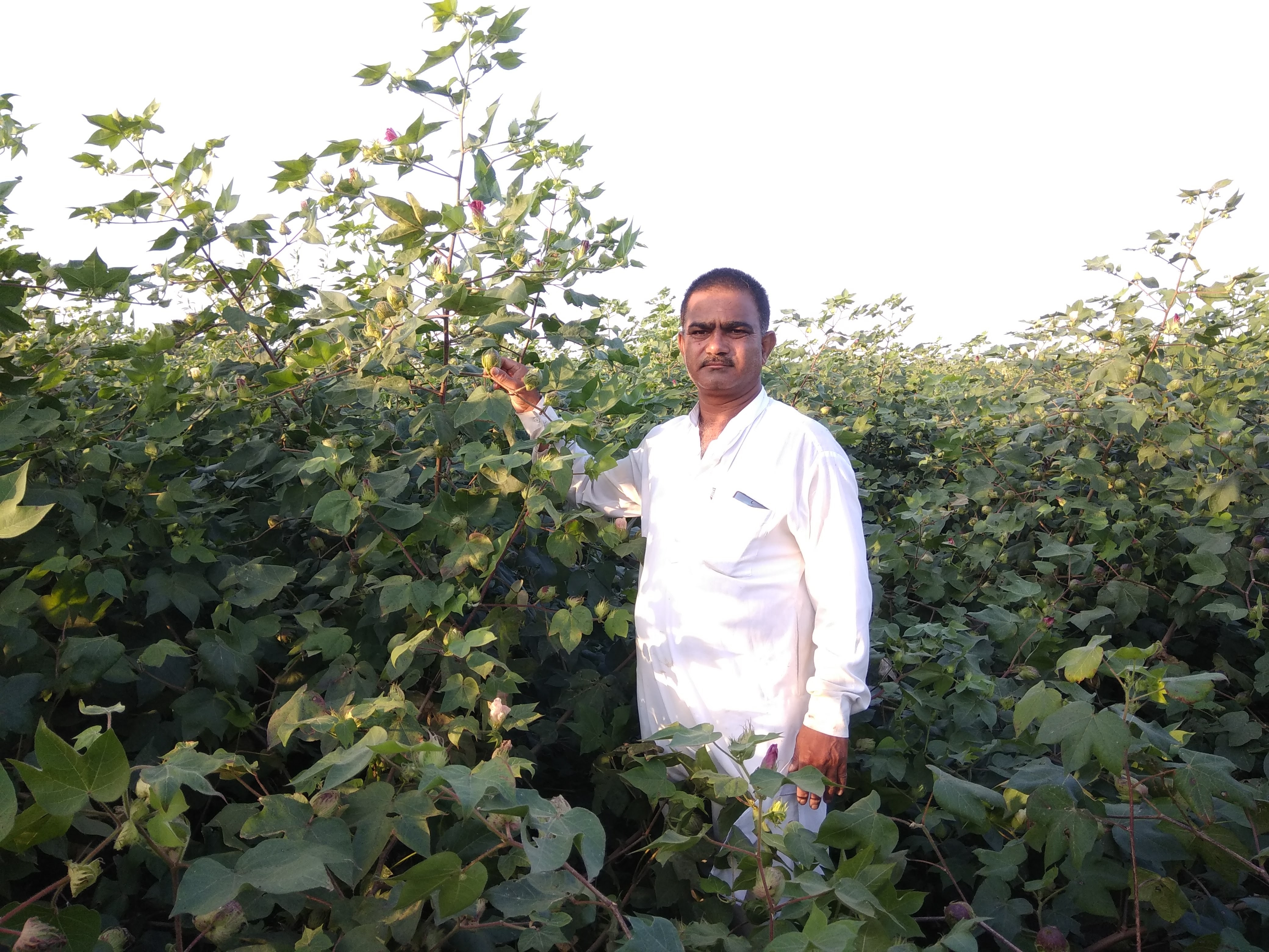 आठवणी फोटो — आभार फाऊंडेशन (Paaba004 — Photo memory)