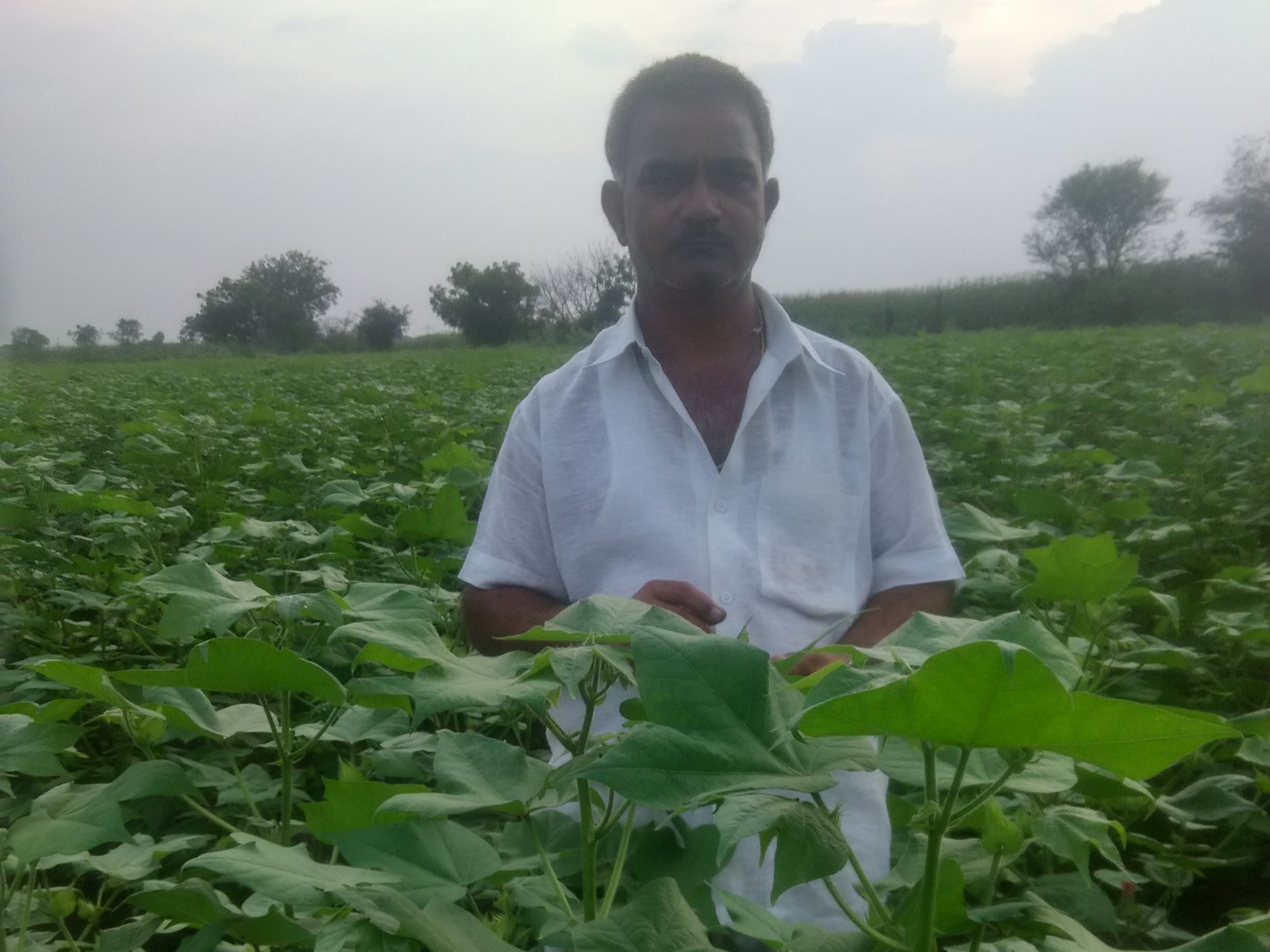 आठवणी फोटो — आभार फाऊंडेशन (Paaba006 — Photo memory)