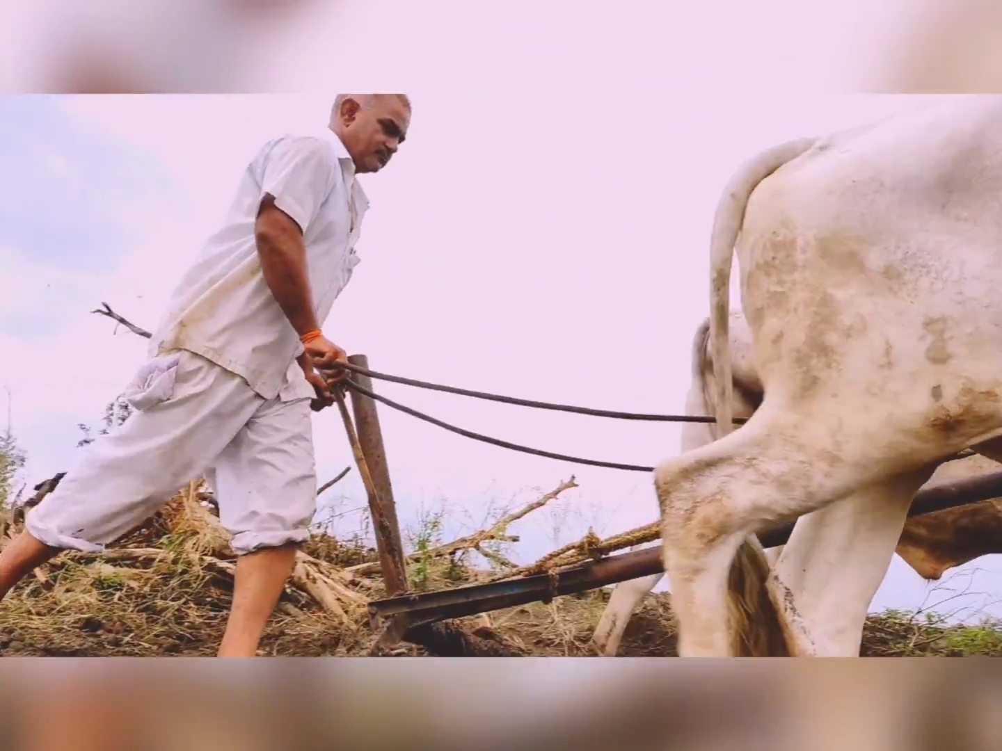 आठवणी फोटो — आभार फाऊंडेशन (Paaba031 — Photo memory)