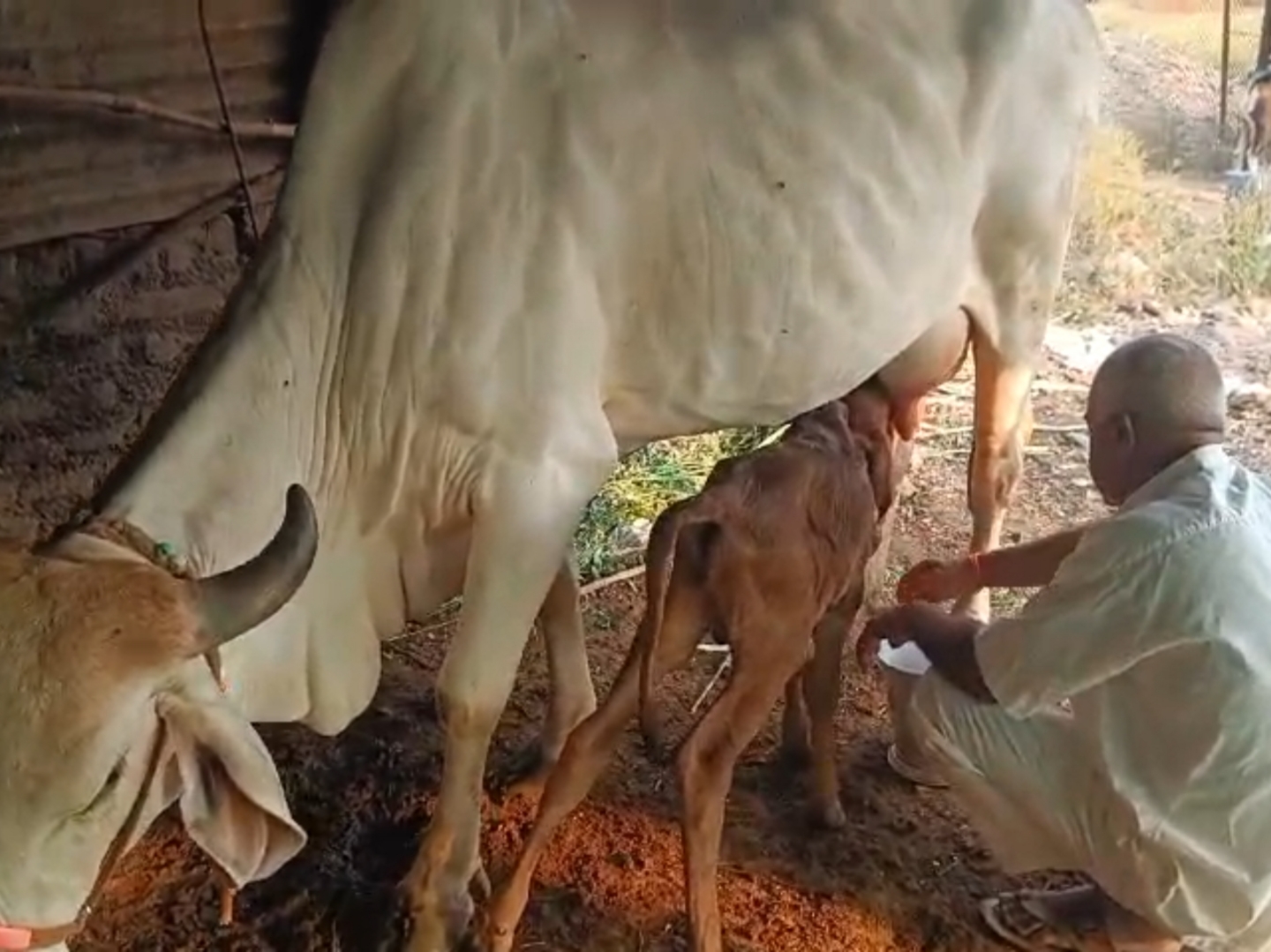 आठवणी फोटो — आभार फाऊंडेशन (Paaba032 — Photo memory)