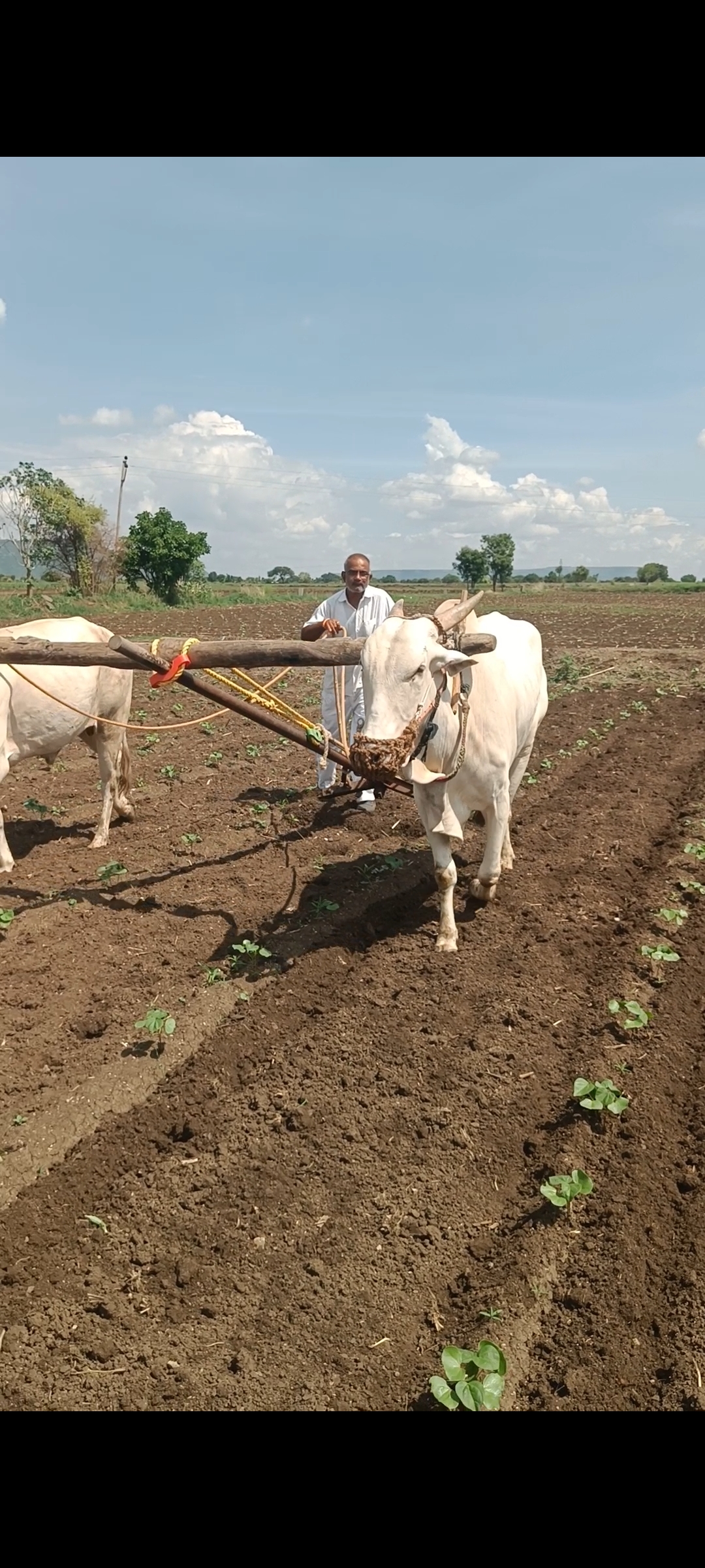 आठवणी फोटो — आभार फाऊंडेशन (Paaba034 — Photo memory)