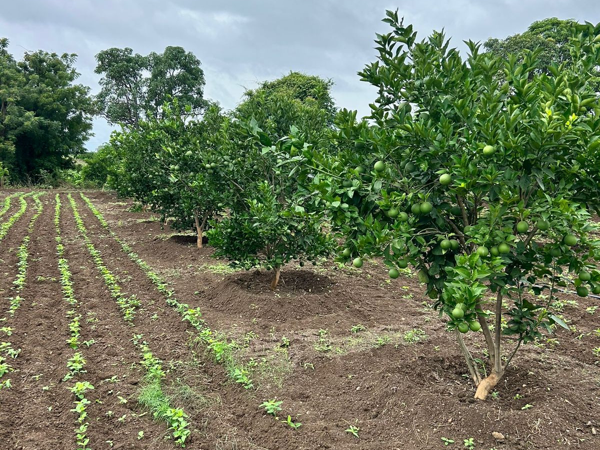 आठवणी फोटो — आभार फाऊंडेशन (Paaba047 — Photo memory)