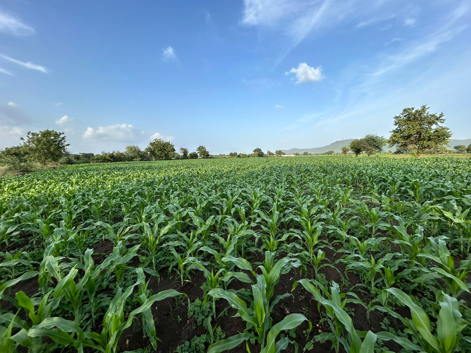 आठवणी फोटो — आभार फाऊंडेशन (Paaba048 — Photo memory)